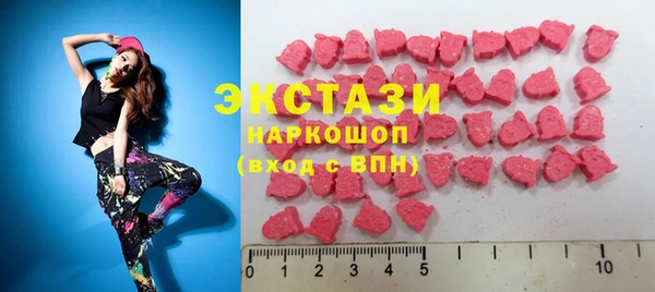 гашик Алексин