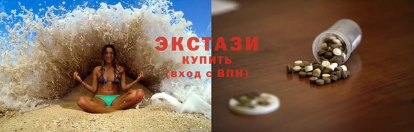 гашик Алексин