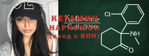 гашик Алексин