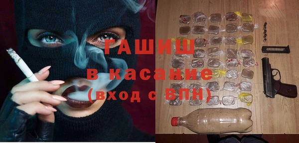 гашик Алексин