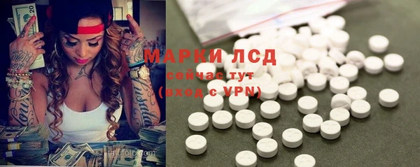 гашик Алексин