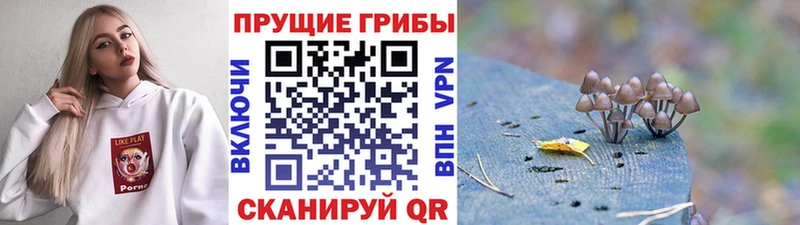 Псилоцибиновые грибы ЛСД  как найти закладки  Юрьев-Польский 